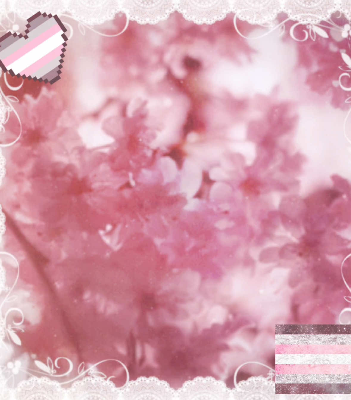 @⋆.ೃ࿔*:・🍒