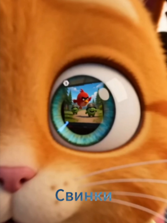 @Medvedito