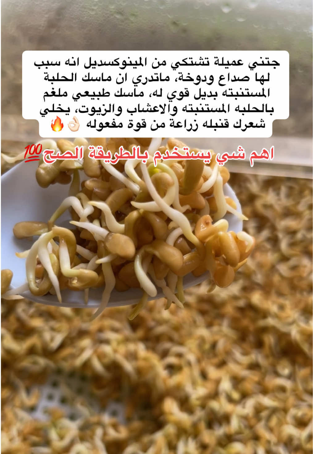 @رِقــة | RIQA