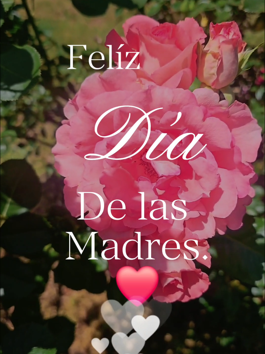 @🇭🇳🌹Rossy🌹🦋