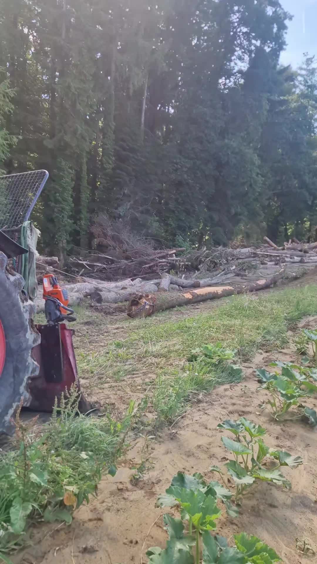 @@krenn-holz-forst