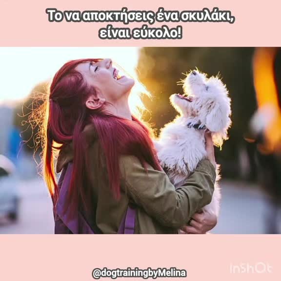 @dogtrainingbymelina