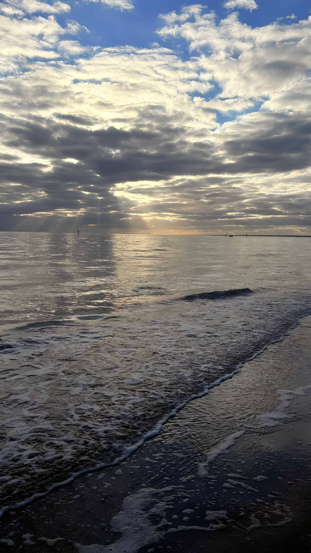 @ʏᴀꜱᴀᴍɪɴ.ꜱᴘᴀᴍ