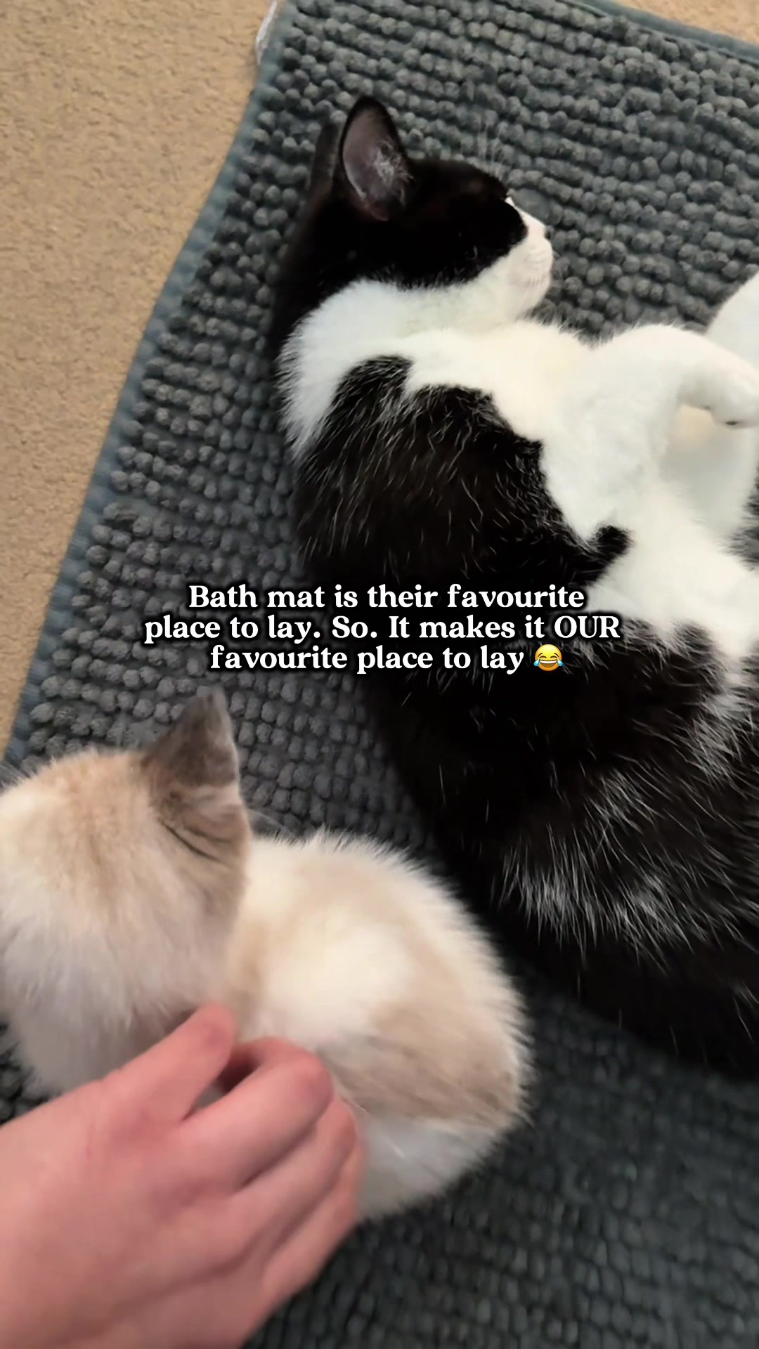 @slavic_cat_mum