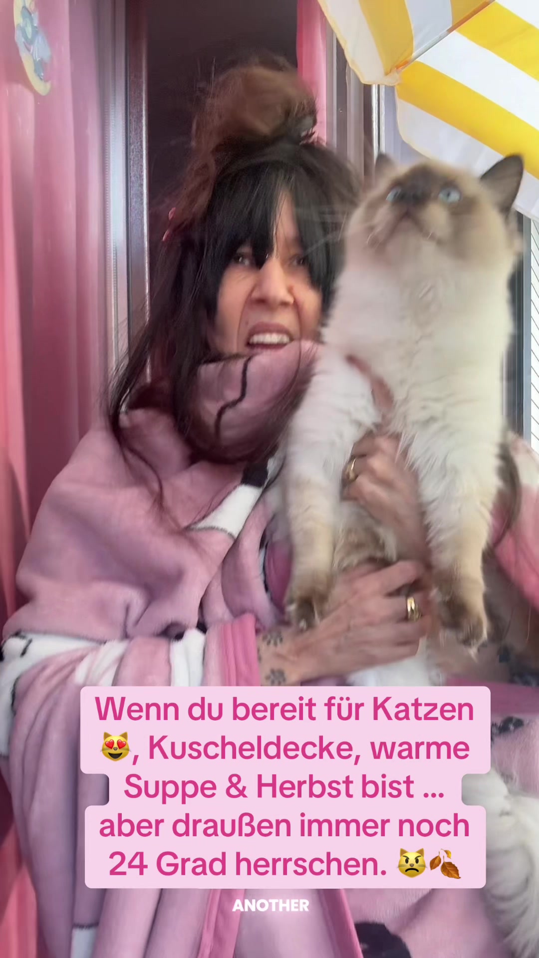 @Fellbande😻 🐾& Dosi Ulrike😽