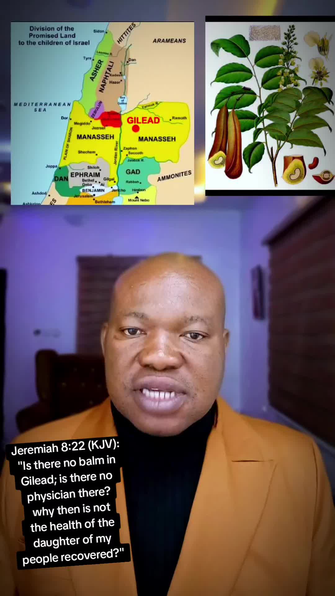 @Natural herbs