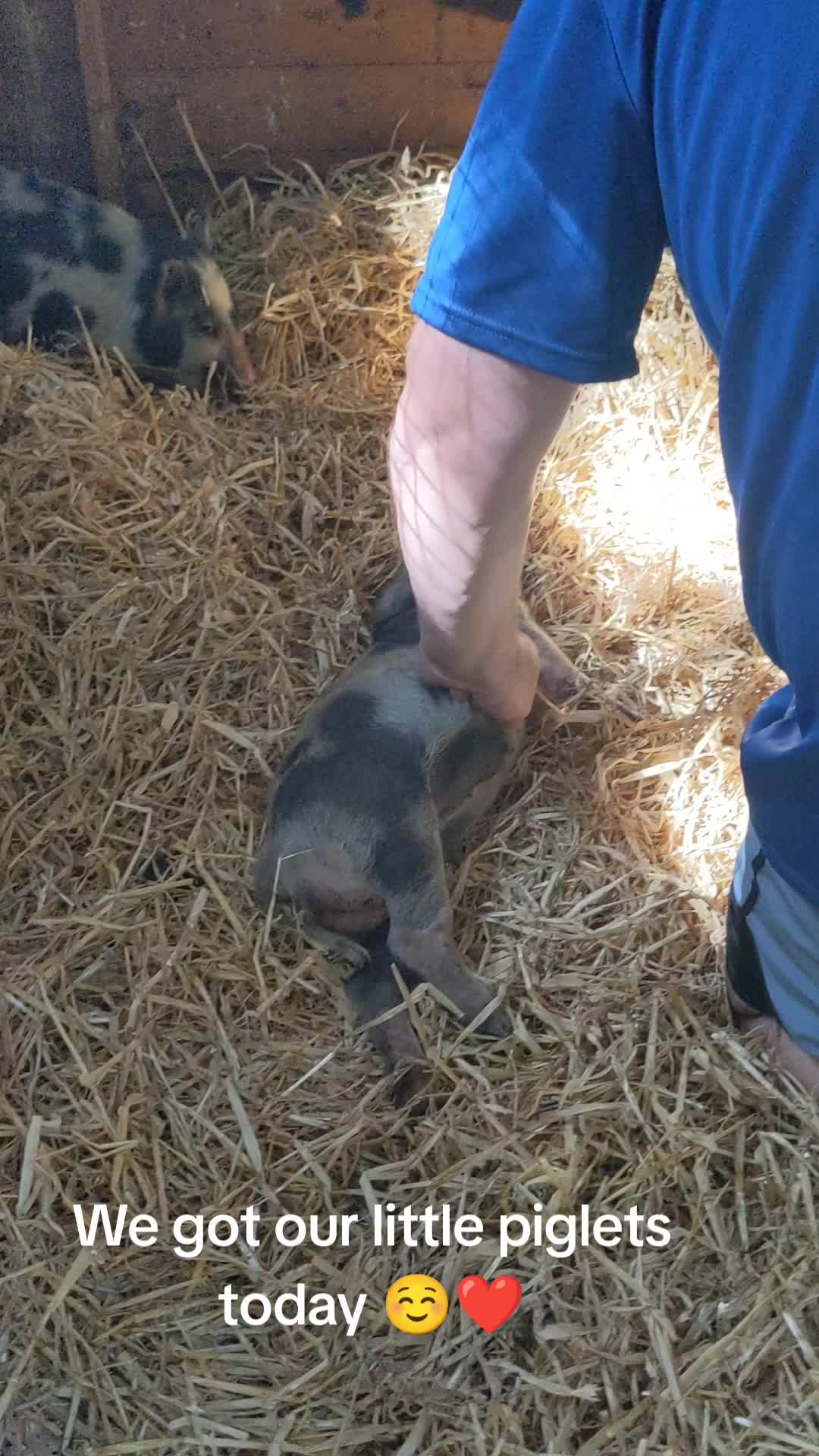 @farmgirl