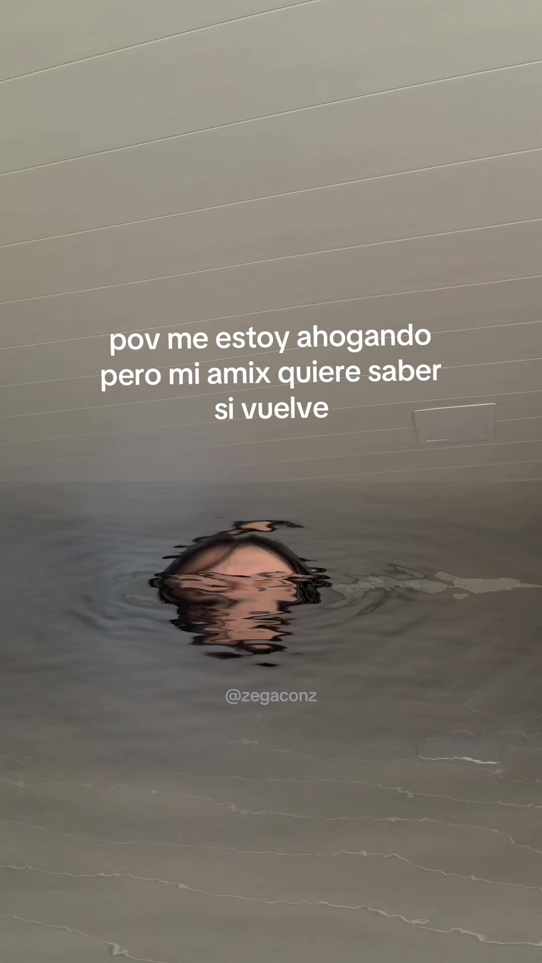 @𝓩𝓮𝓰𝓪 ⋆˙⟡
