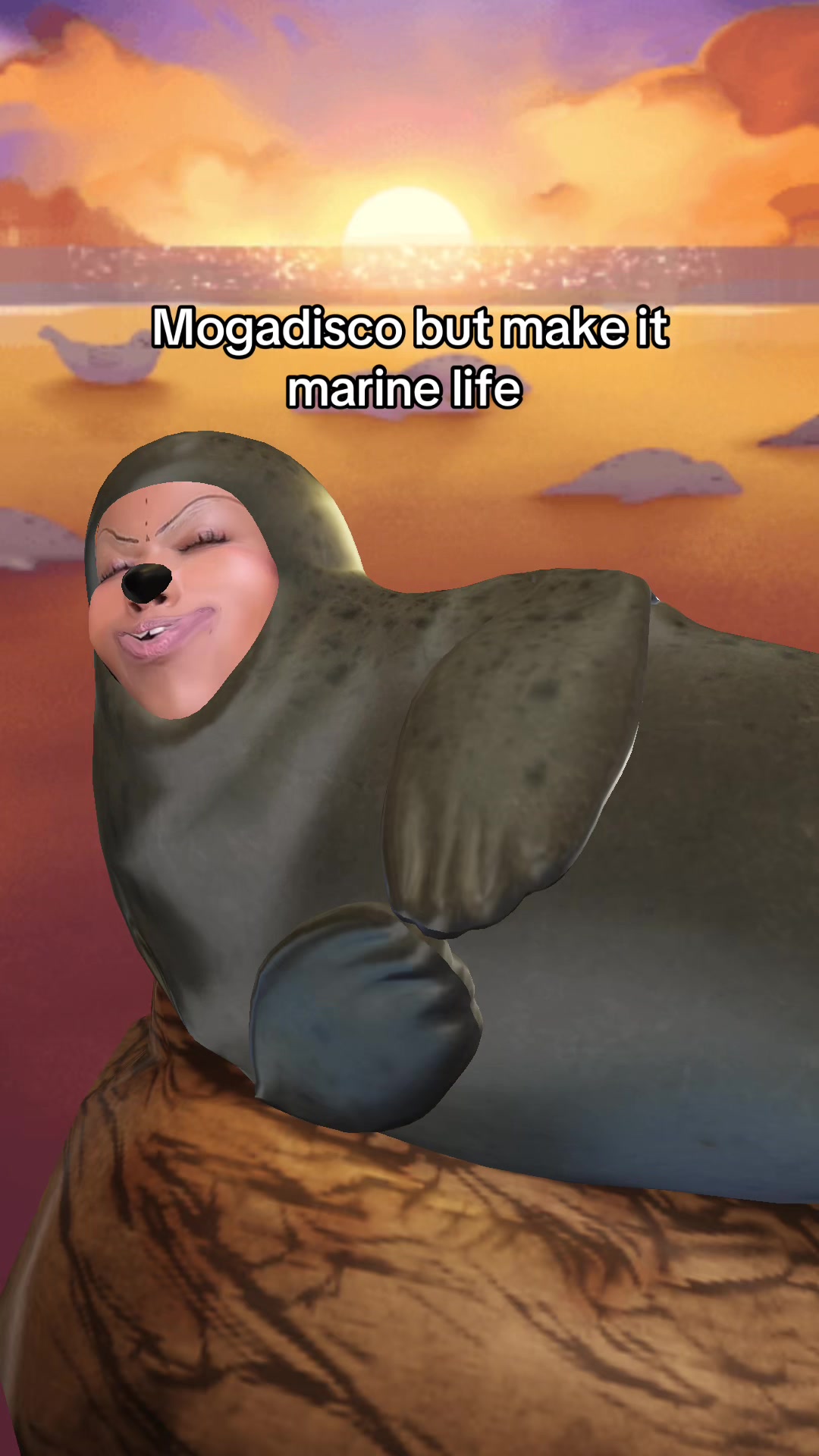 @๐๐๐๐๐๐ ๐๐๐๐