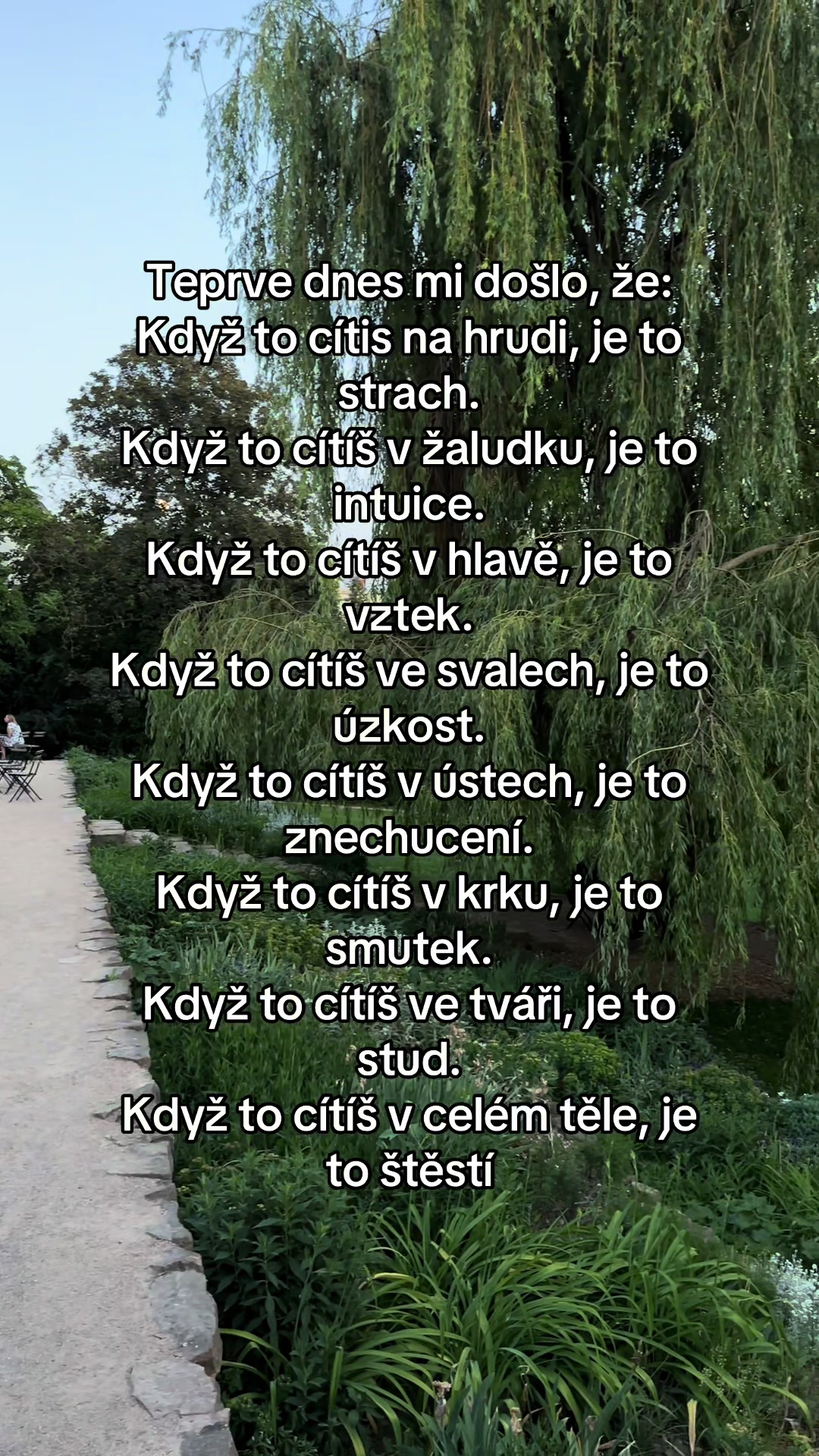 @Lukášek 🫶