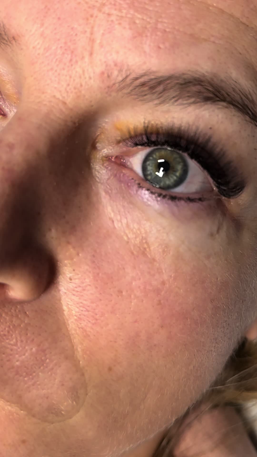 @venustas.ch