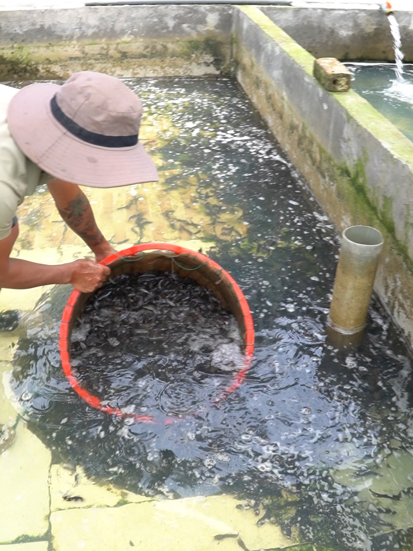 @Trại Cá Giống Quang Lâm