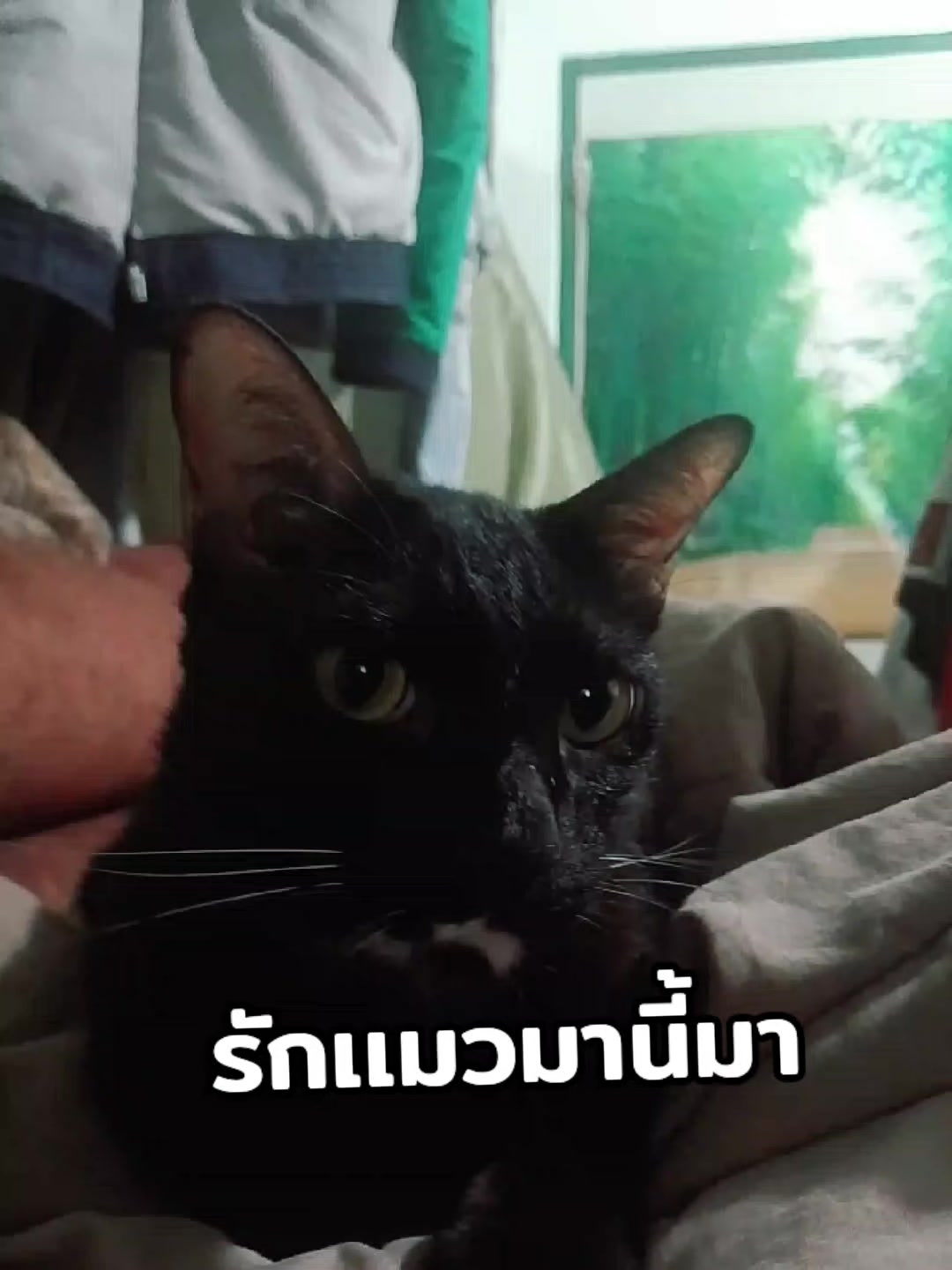 @4/2ดิว่ะะ 016🤪