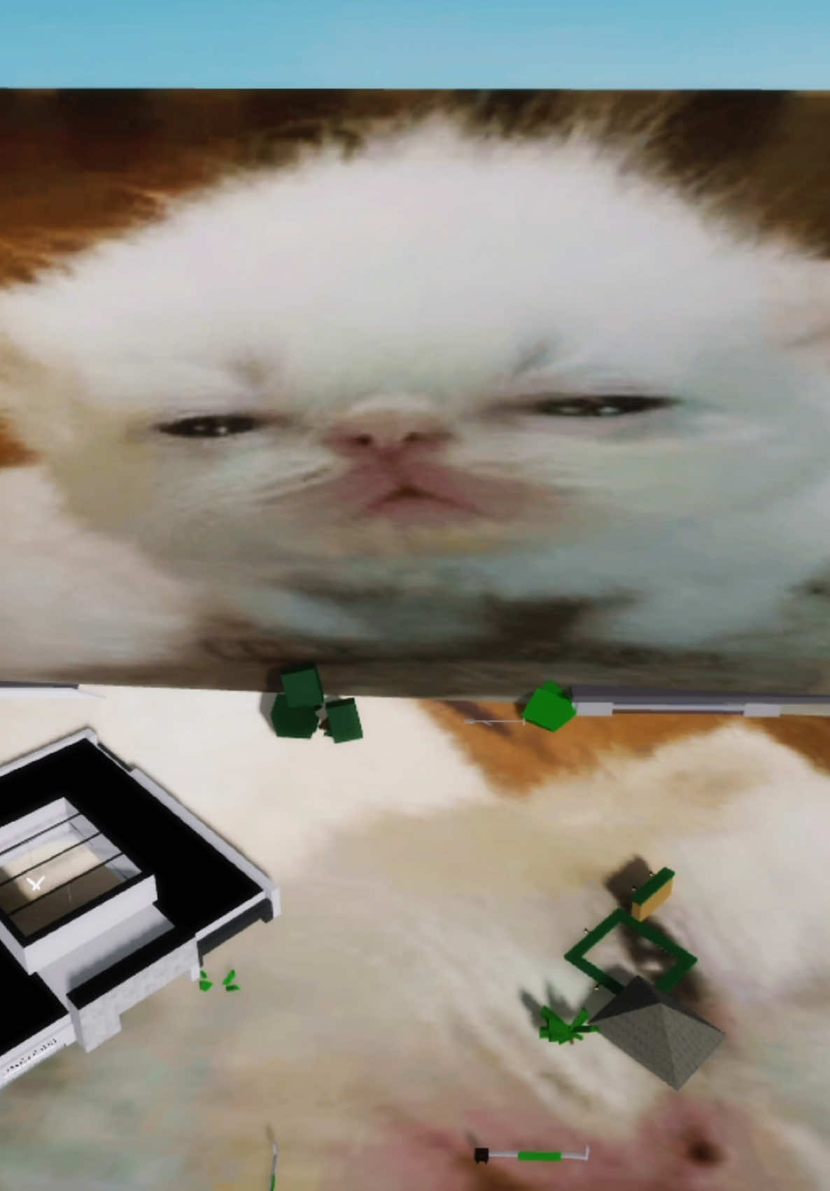 @Matiboo