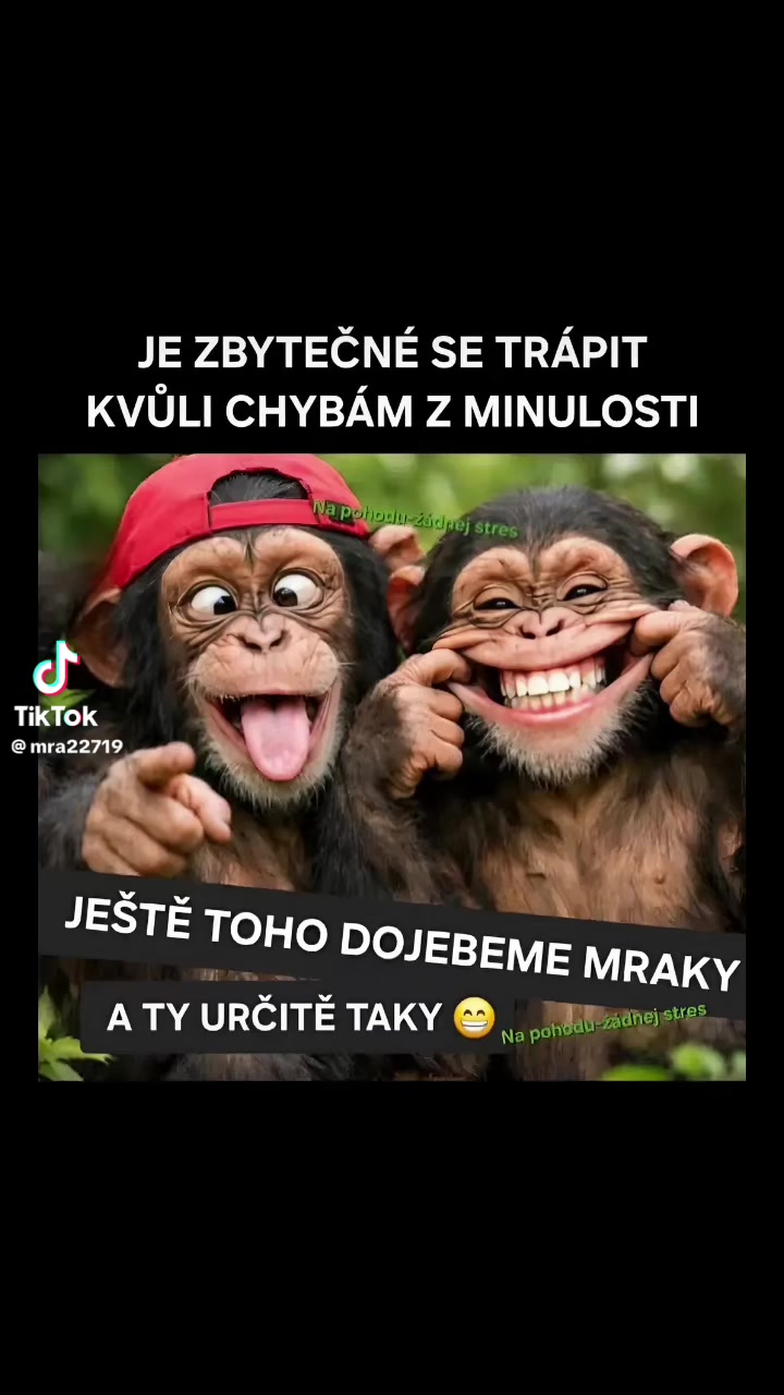 @🌲🌲Prosťě Fidla🤷&zwj;♂️🤷&zwj;♂️🌲🌲