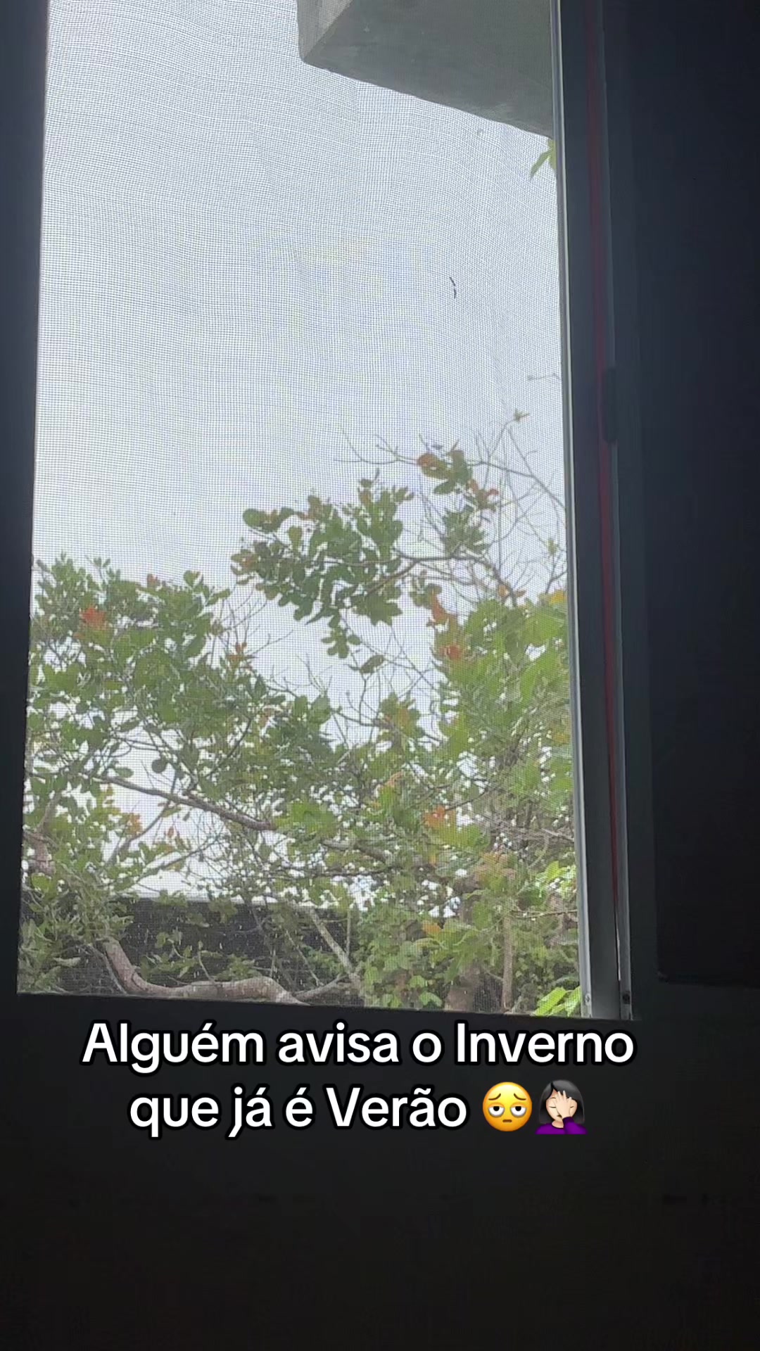 @Naadi Almeida