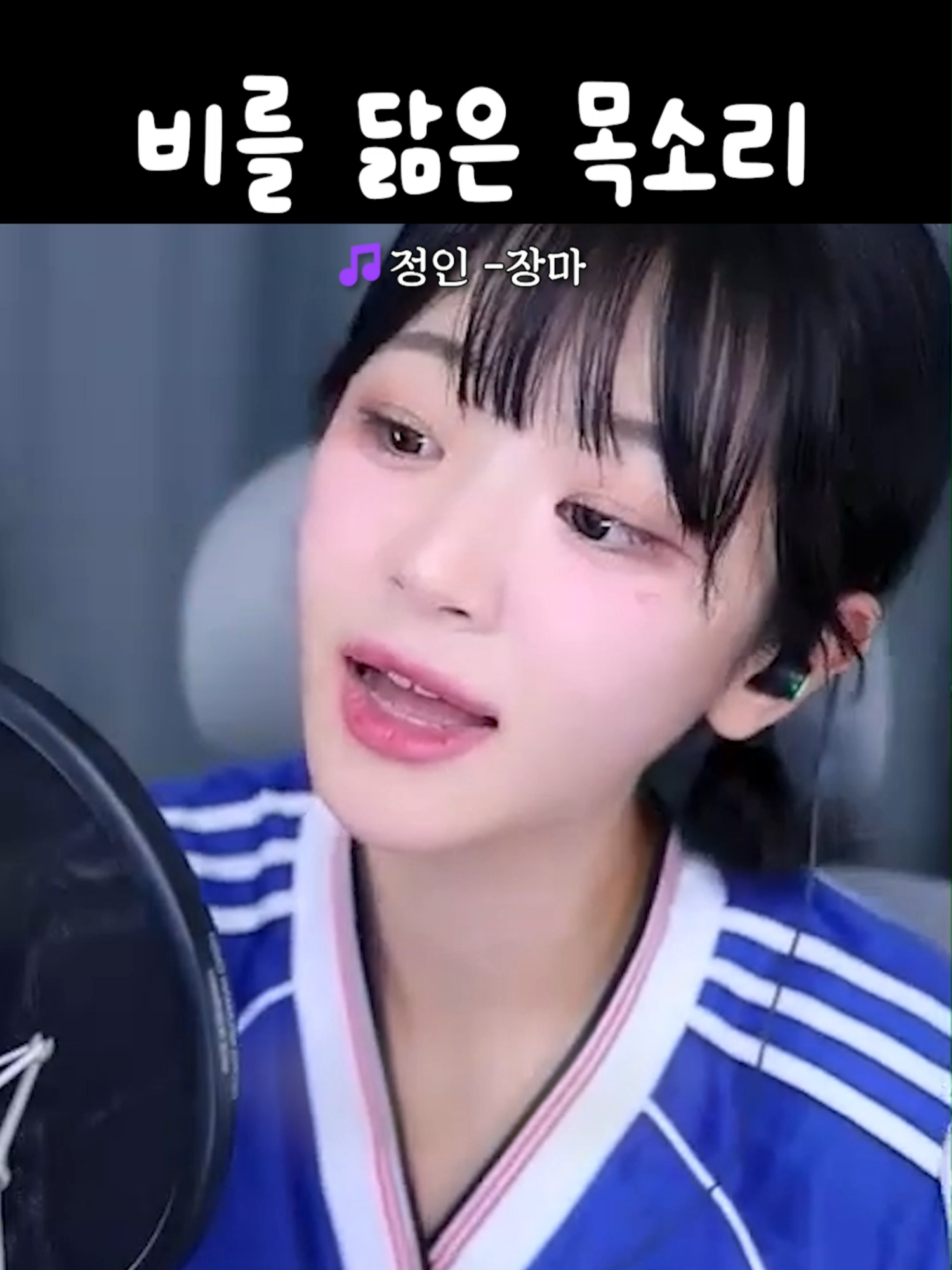 @집게발 아카이브
