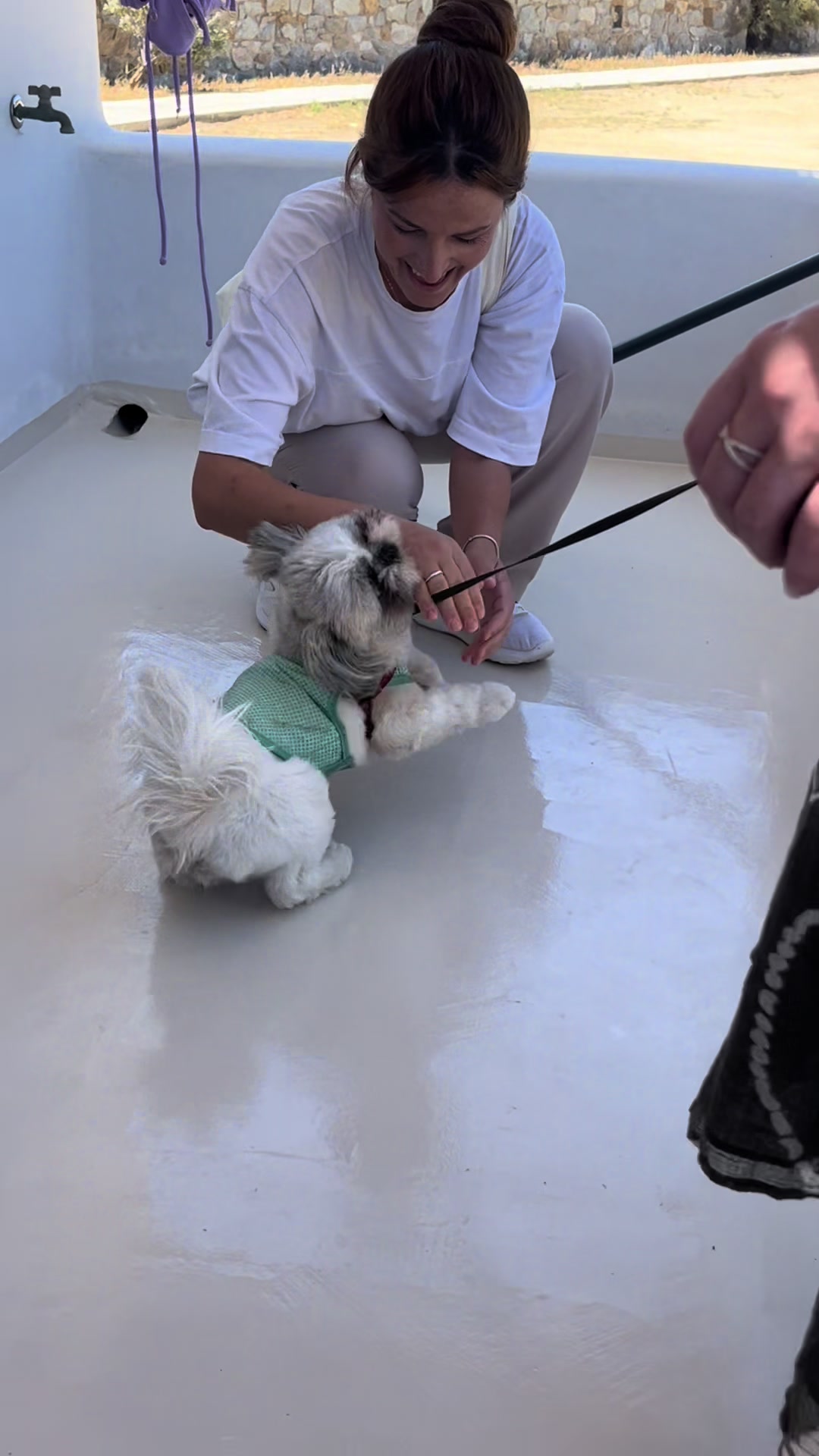 @Daisy | The Dog Travel App