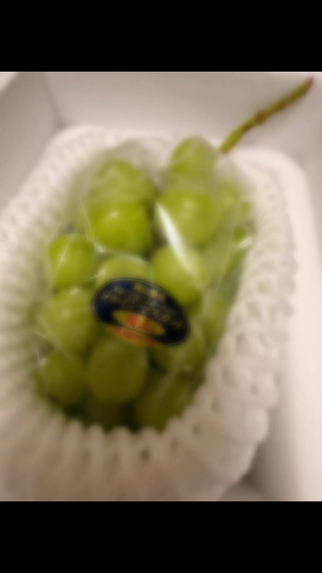 @ã¿ããðâïžã ðŠŠ