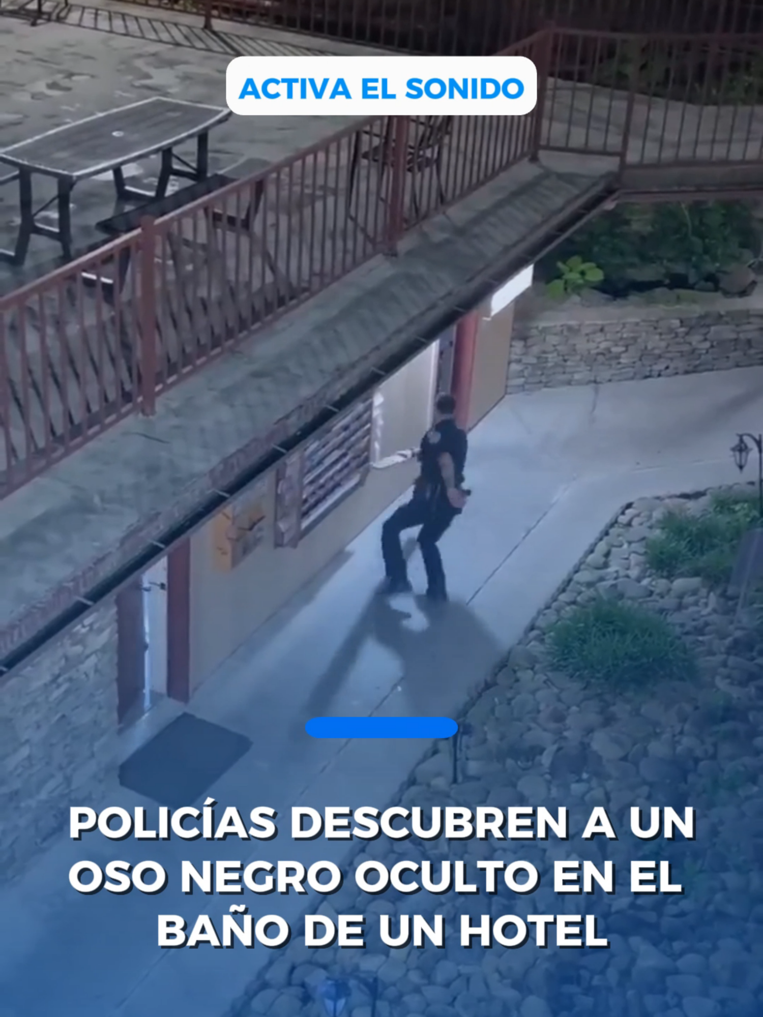 @Periódico El Mexicano