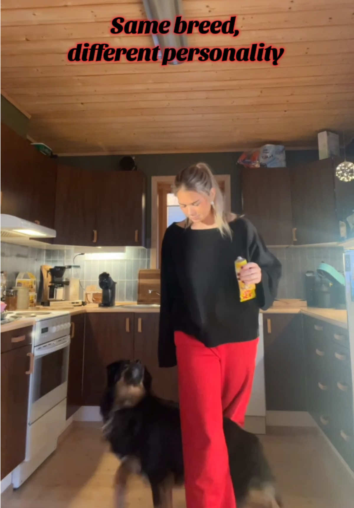 @Julie Hestås 🌻