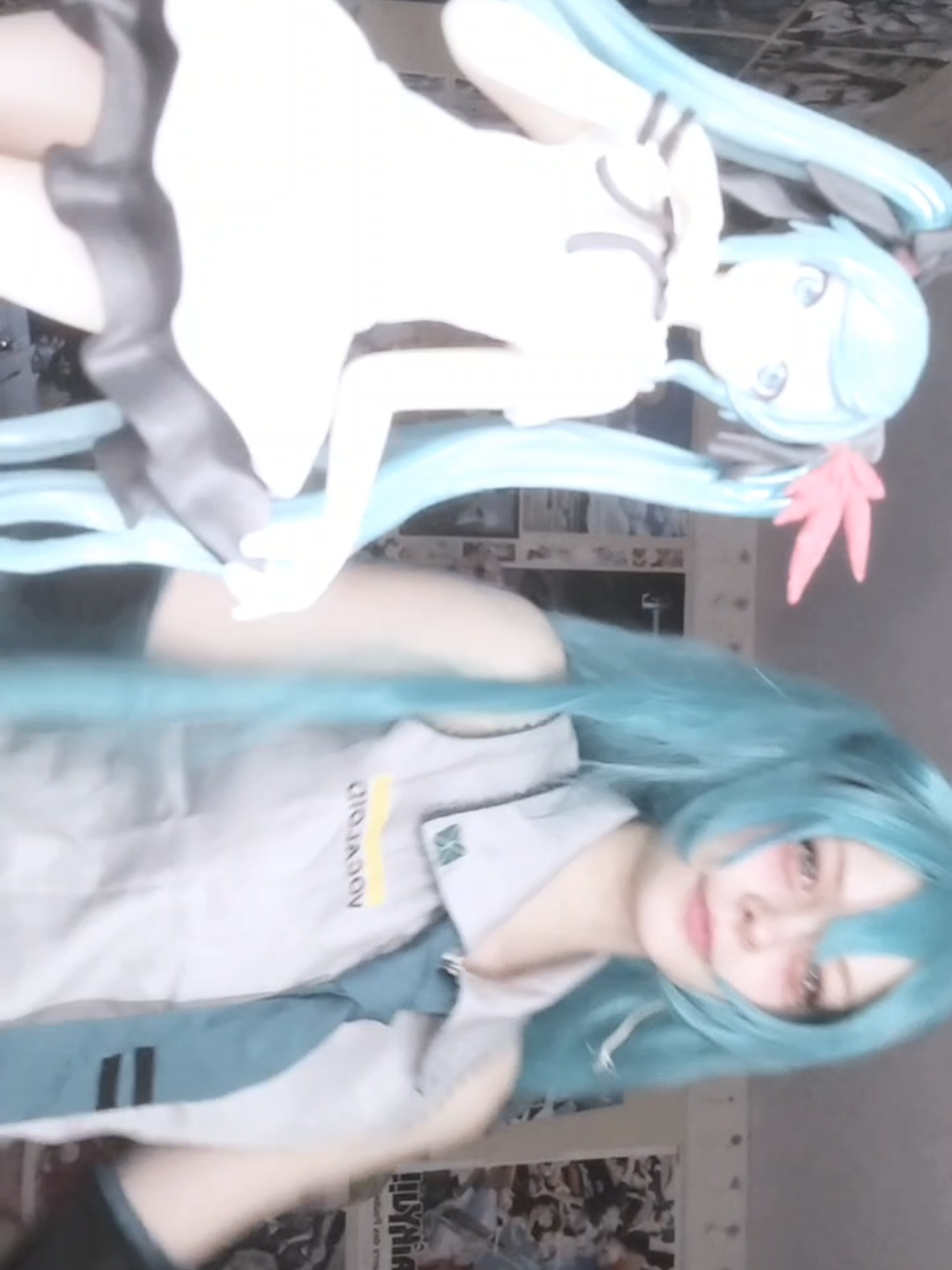 @(=^・ェ・^=)
