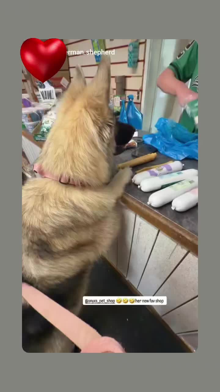 @Onyx's Pet Shop