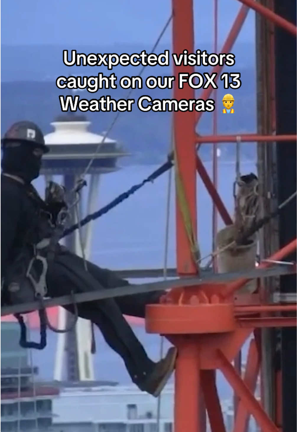 @FOX 13 Seattle
