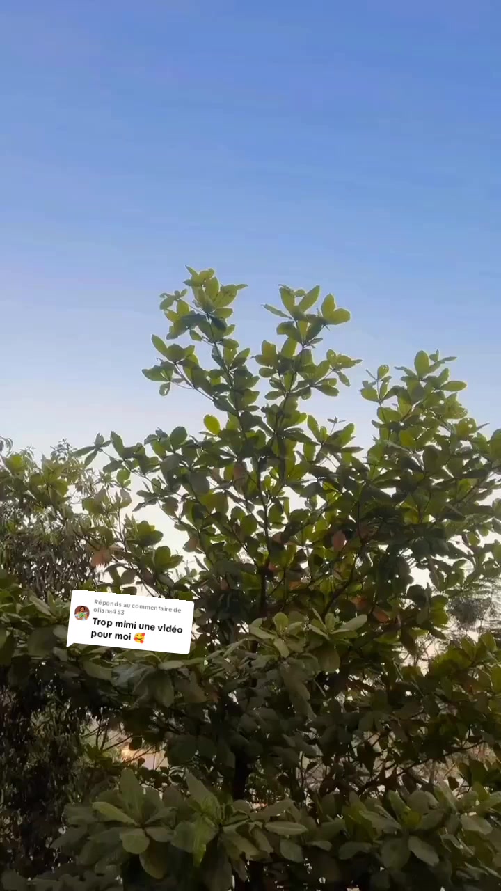 @zee❤️indian🥰🇮🇳🇮🇳