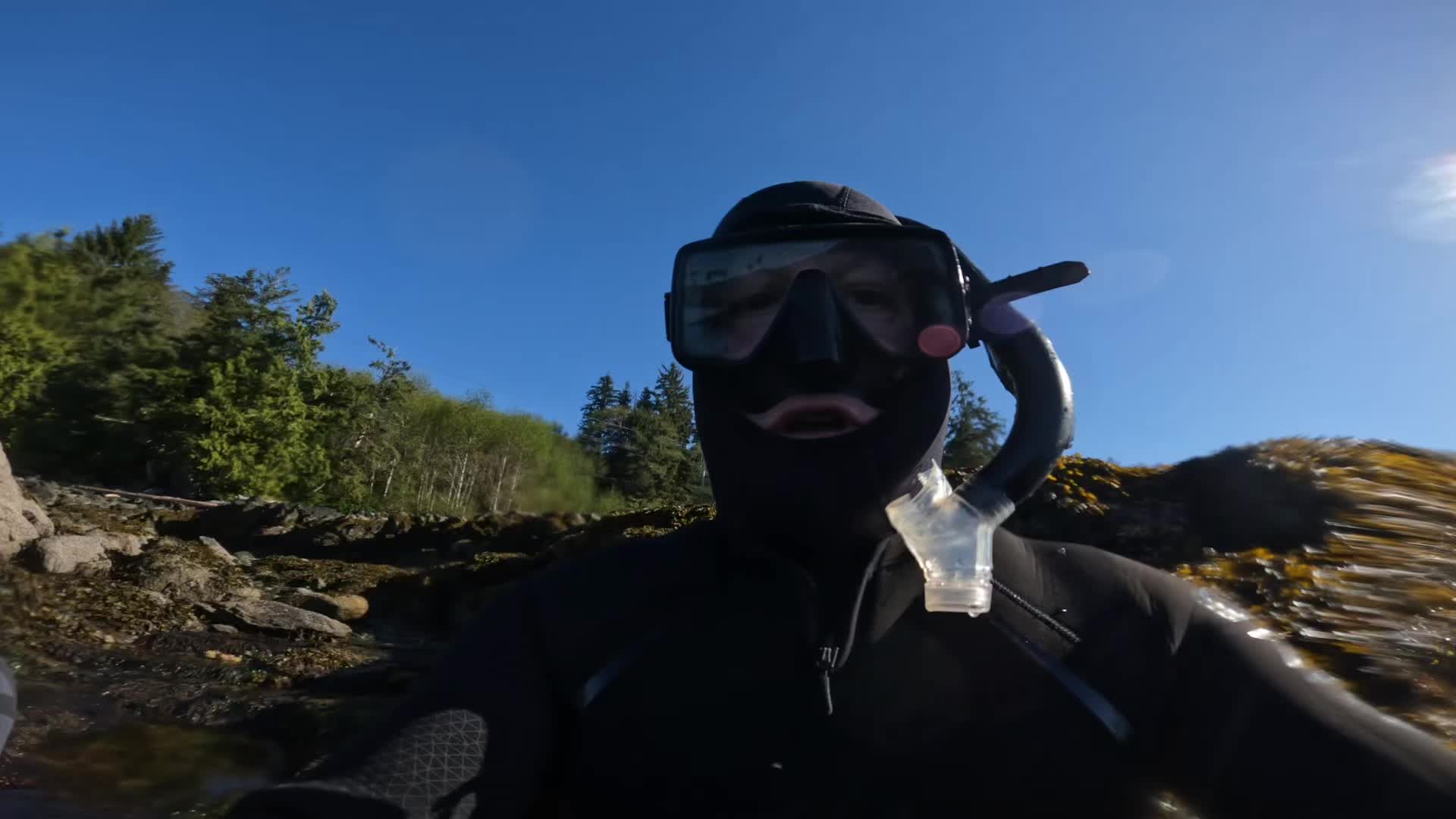 @Snorkel Alaska