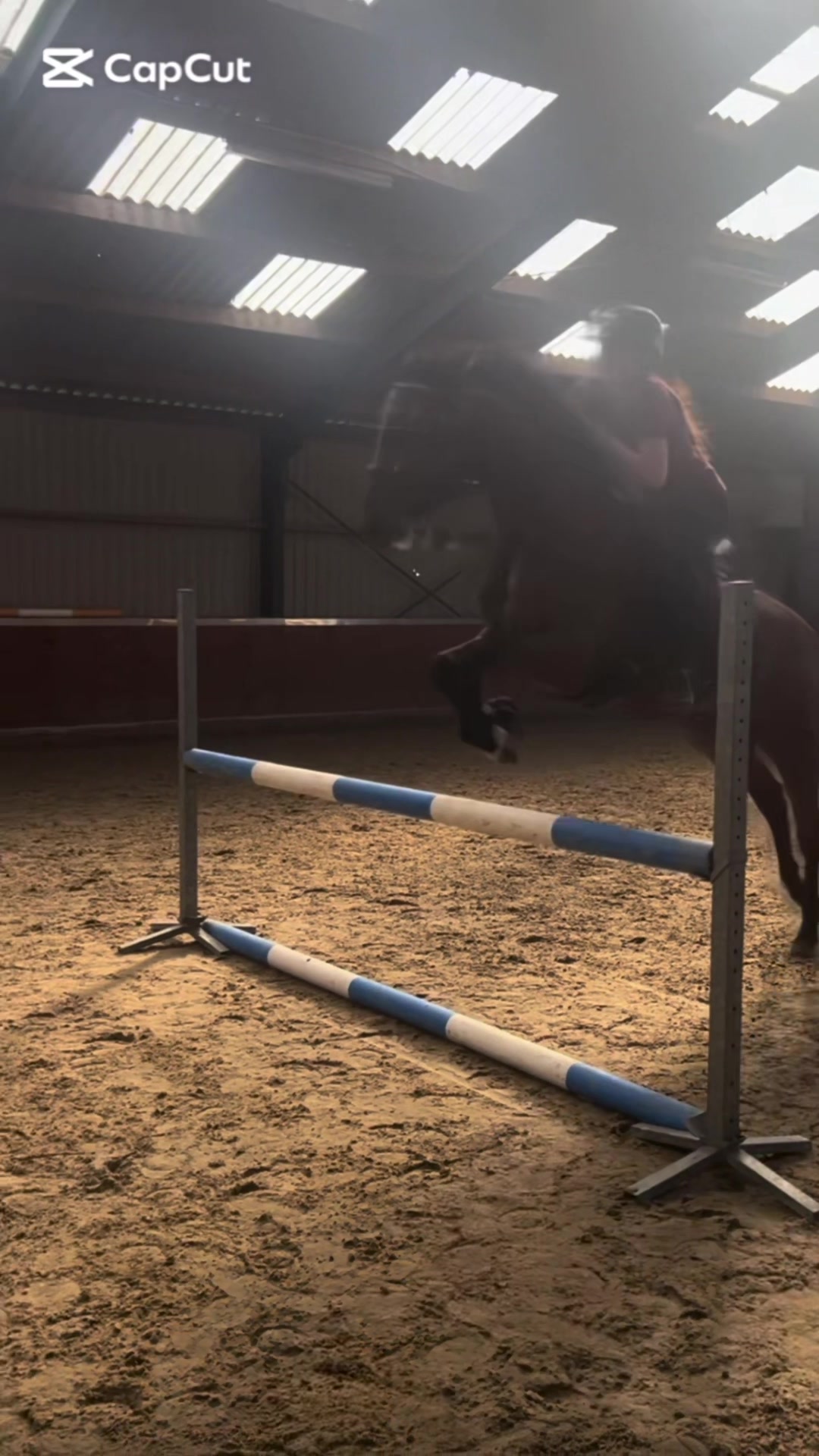 @🇳🇱 yara’s horselife 🇳🇱