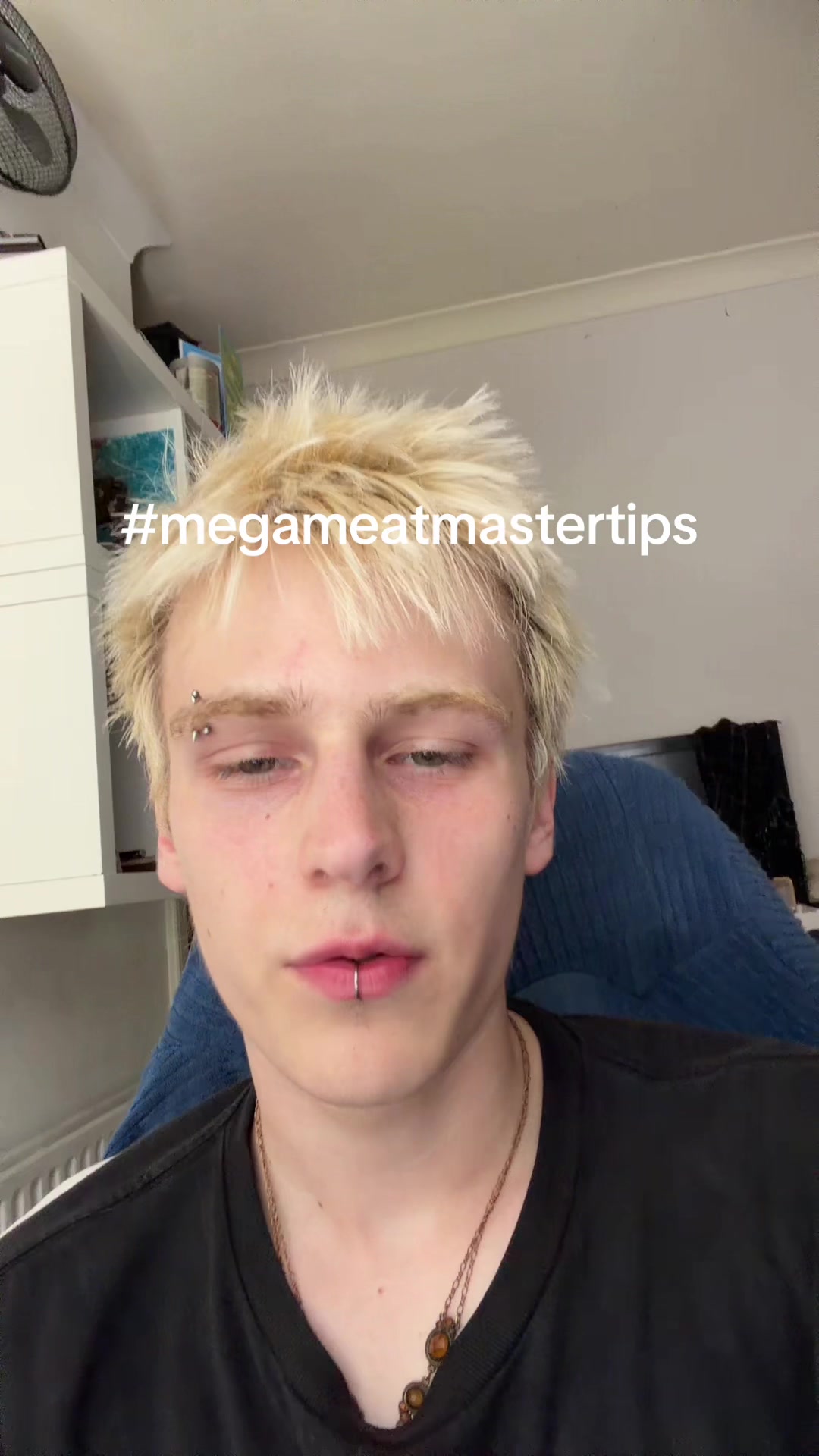 @megameatmaster