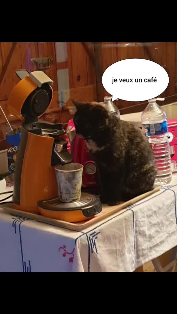 @Antoine frau