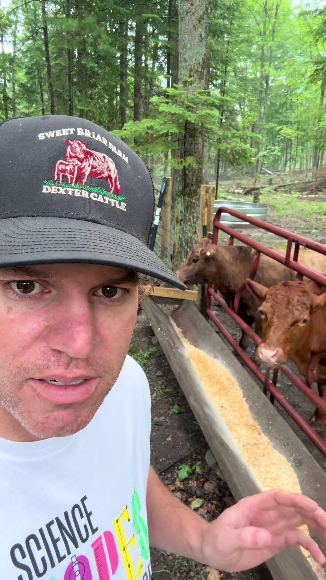@Sweet Briar Farm