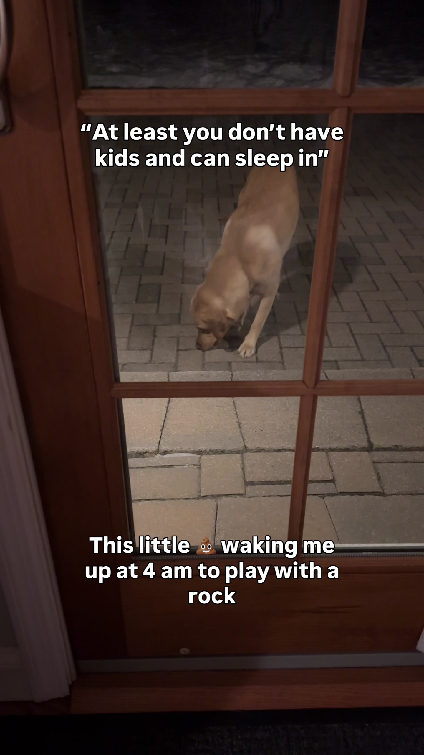 @Lord Jack The Yellow Lab