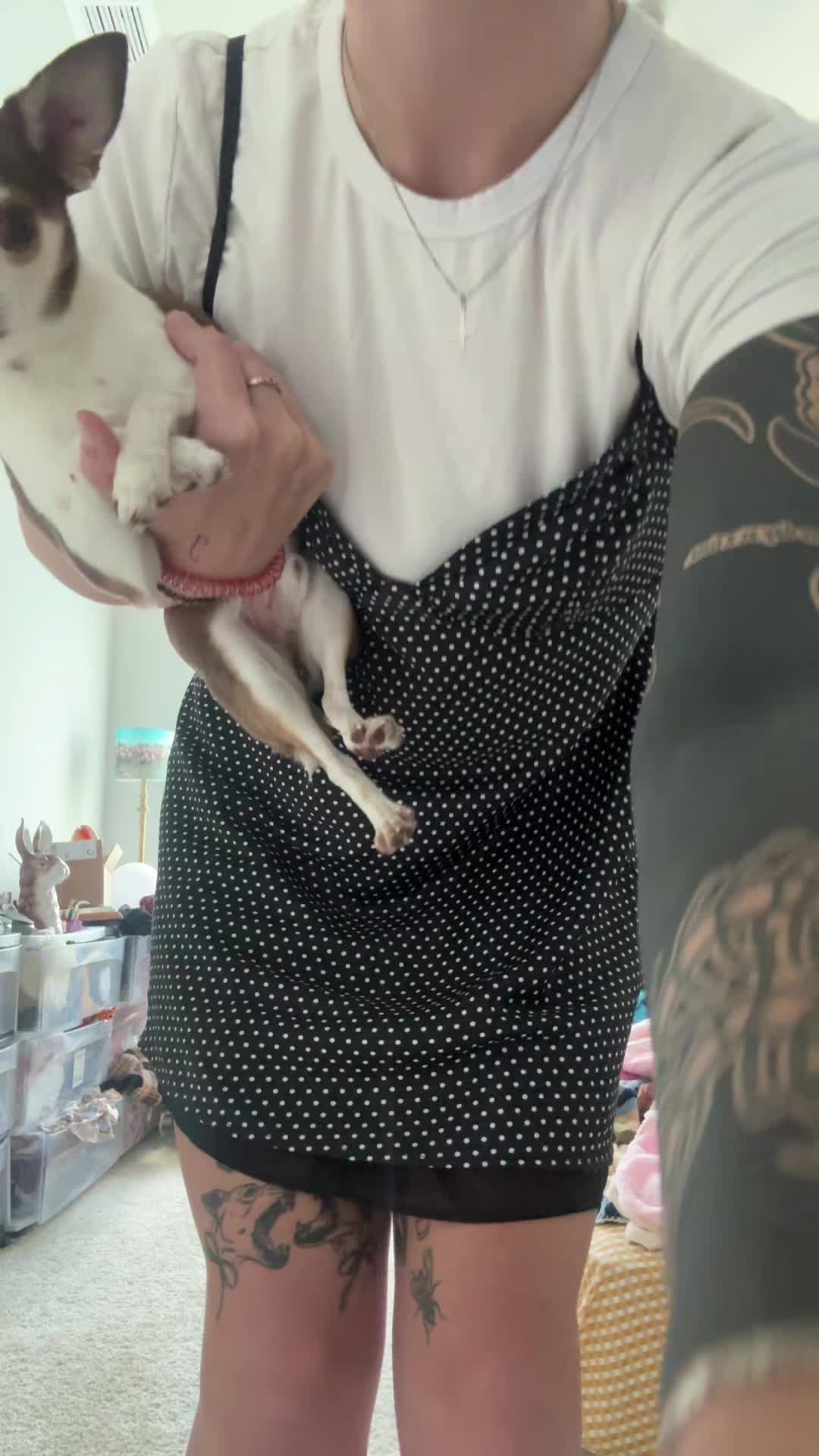 @Bunnyspitt
