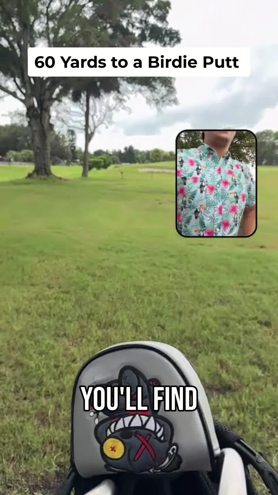 @Next Swing Golf