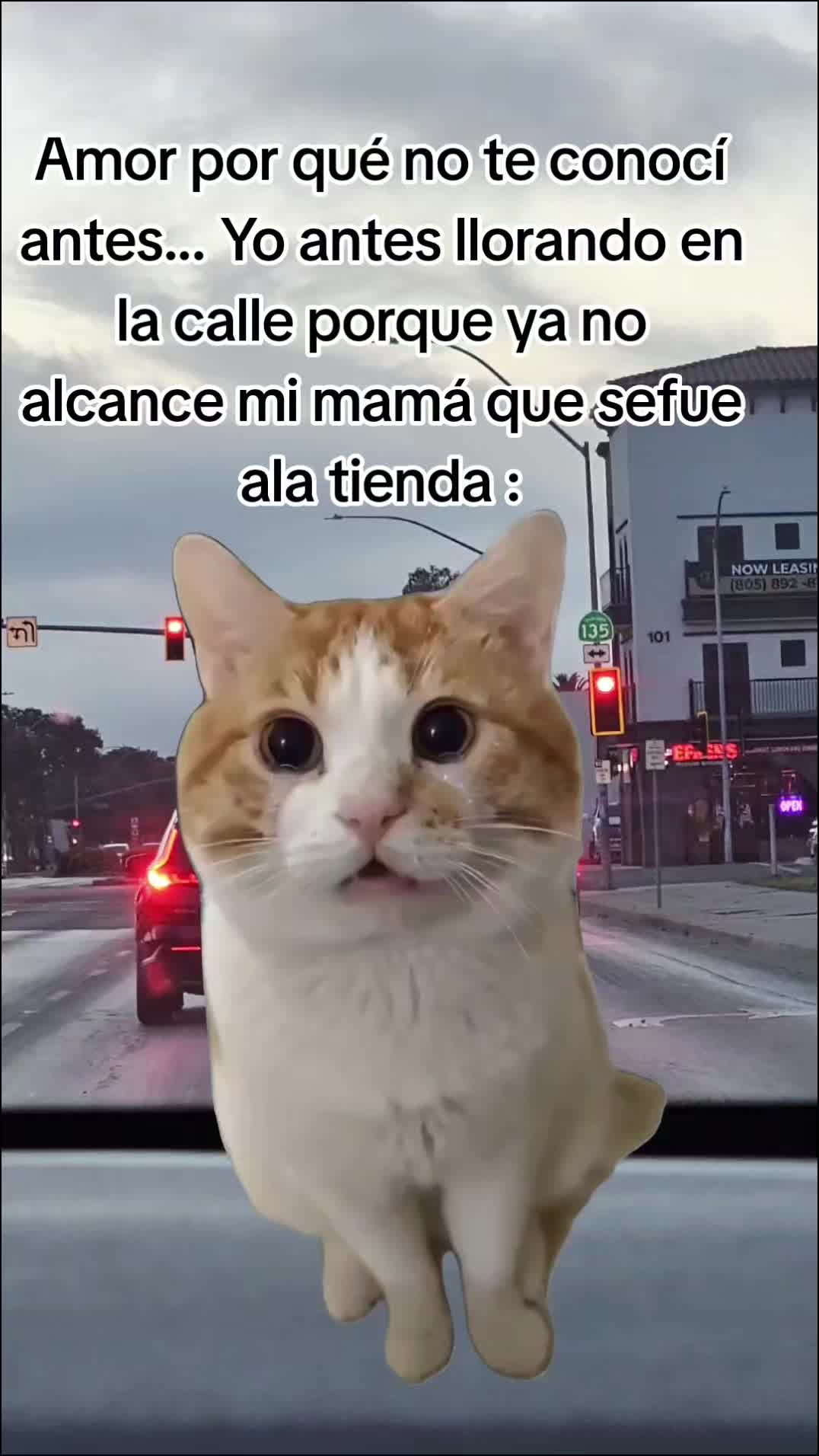@🇲🇽🐦&zwj;⬛🪺VASQUEZ🚚🌪💎