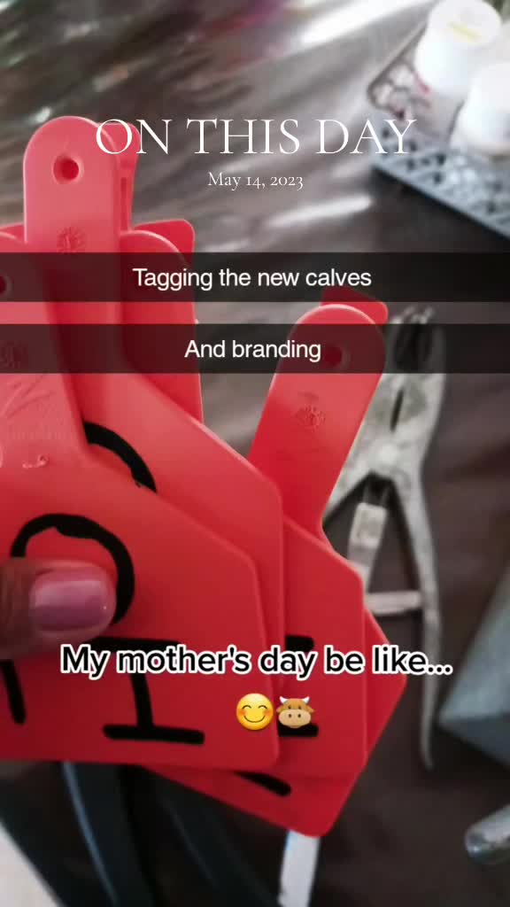 @TManycows