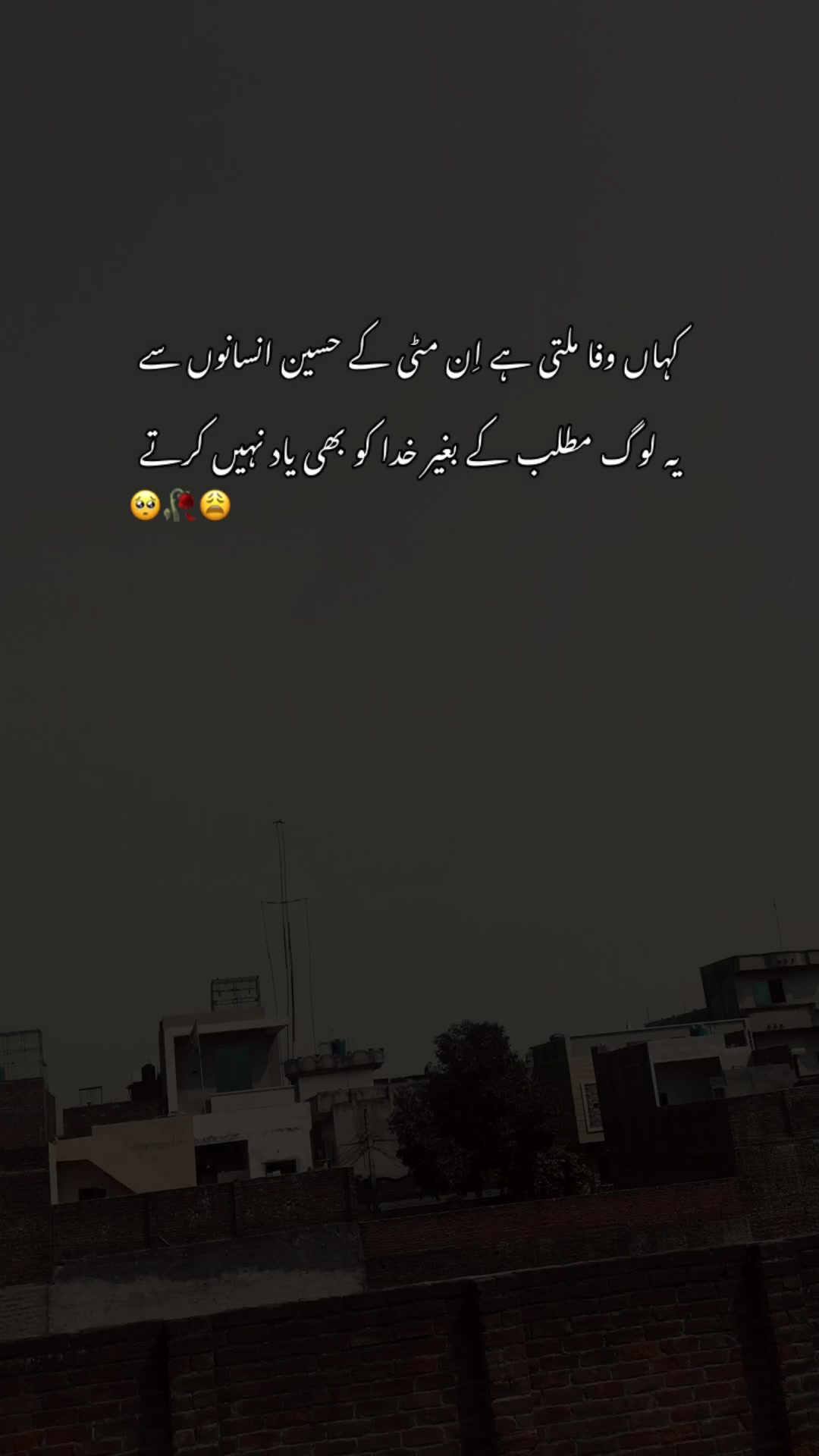 @>پاگل ہو <🦋
