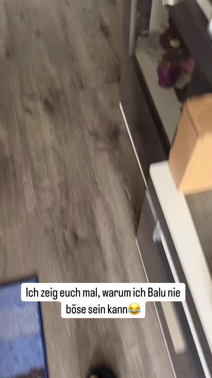 @XXLBALU