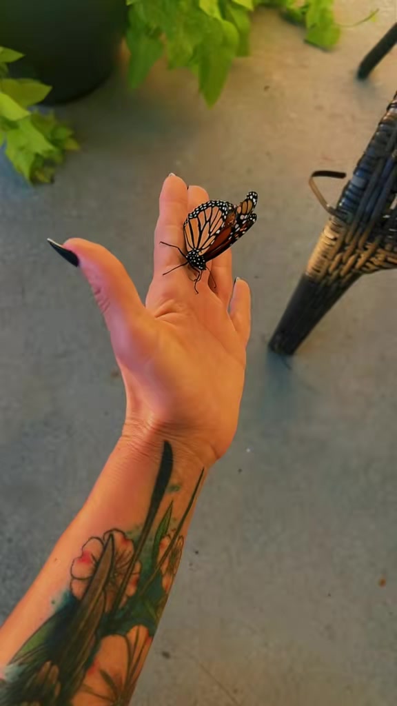 @QueenBee 🐝