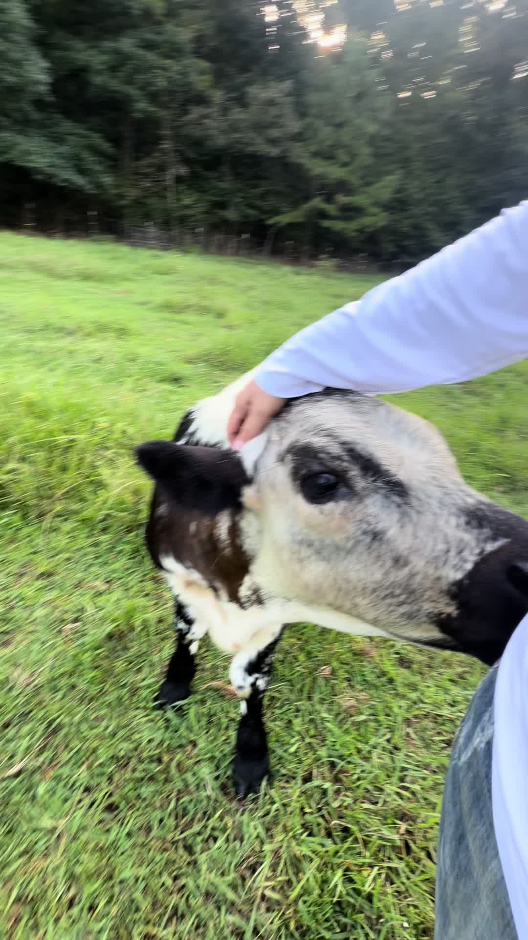 @Georgia Farm Girl