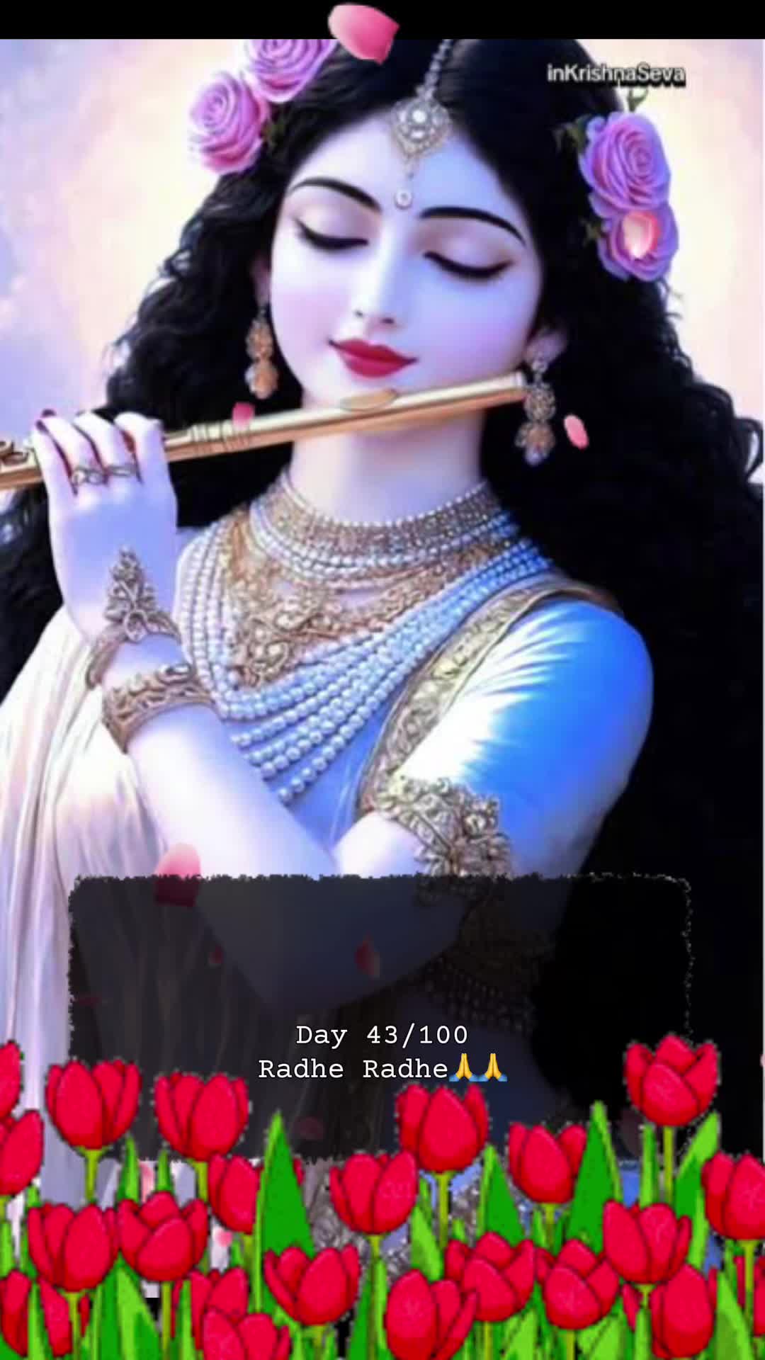 @RadheKrishna🦚🦚🙏🙏