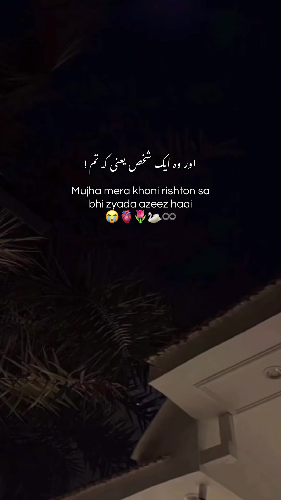 @𝐌🕷️