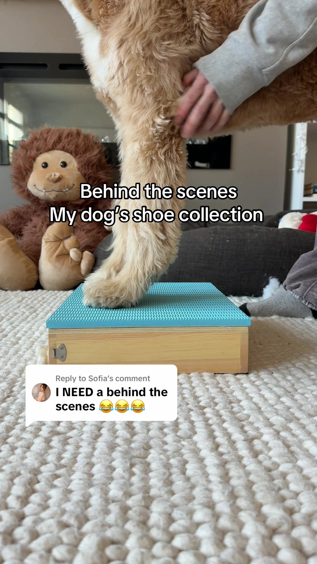 @Me, my Doods and I