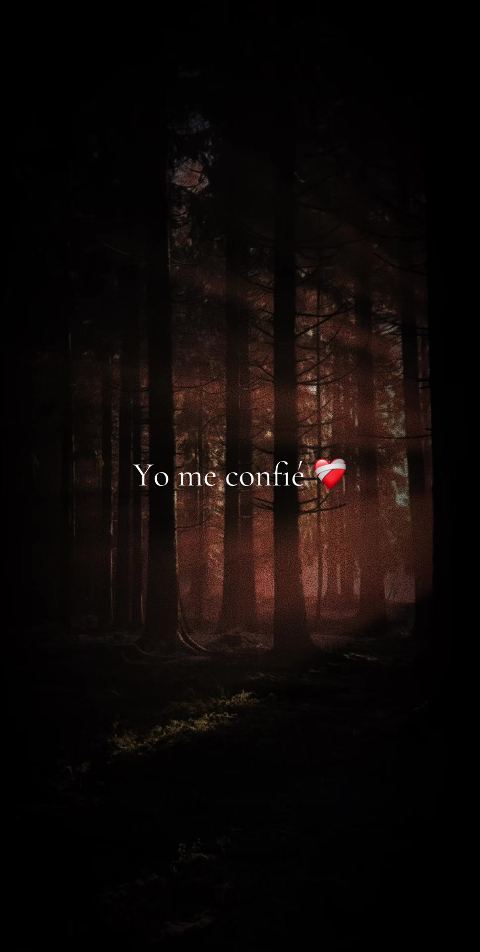 @✨️