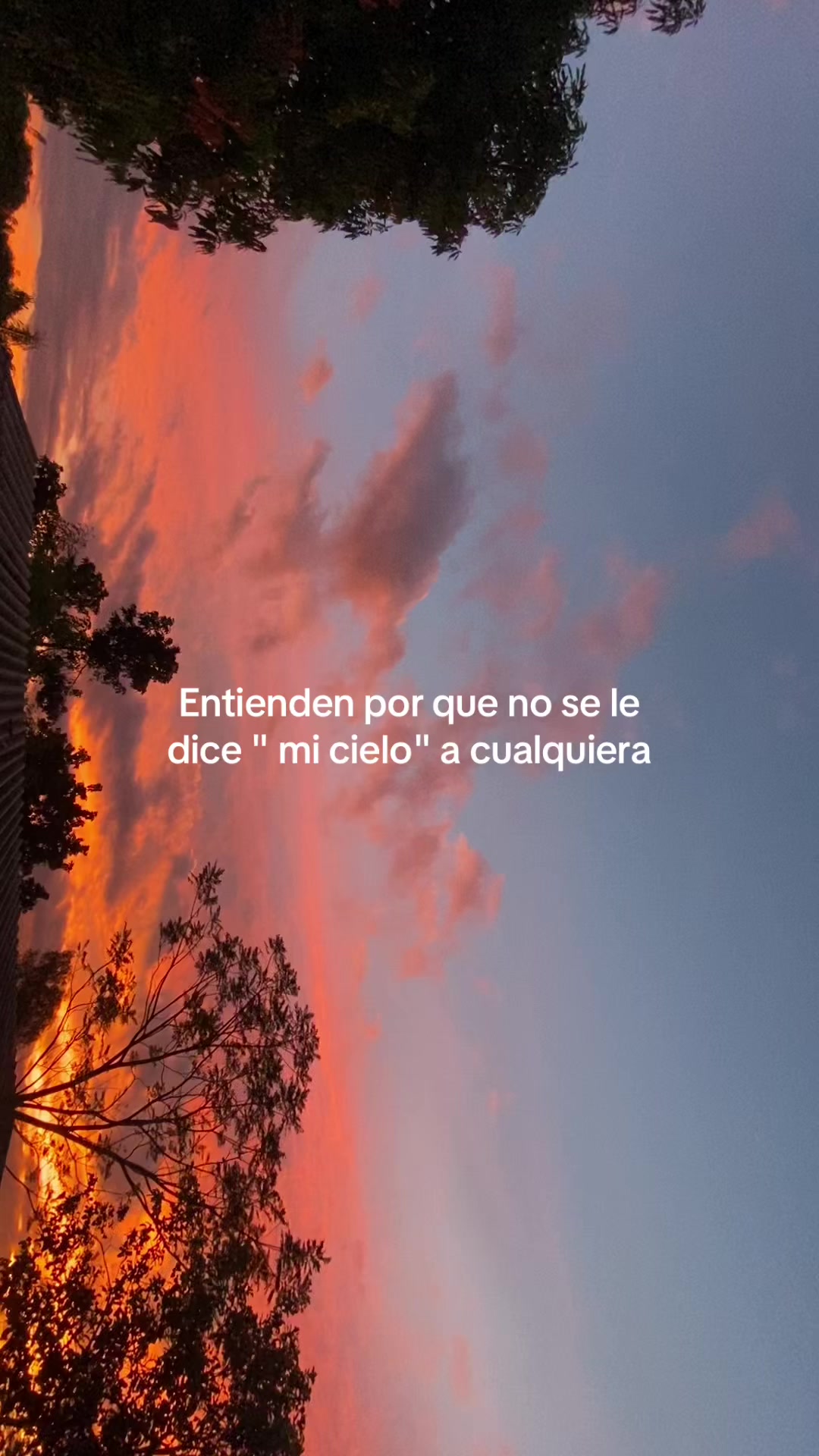 @Jade