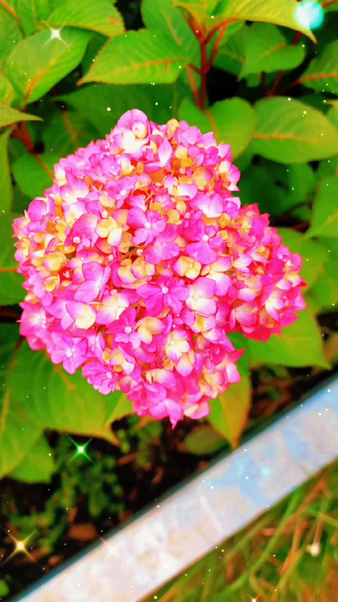 @QTZONE333