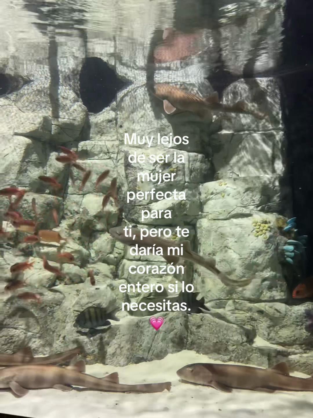 @👣.